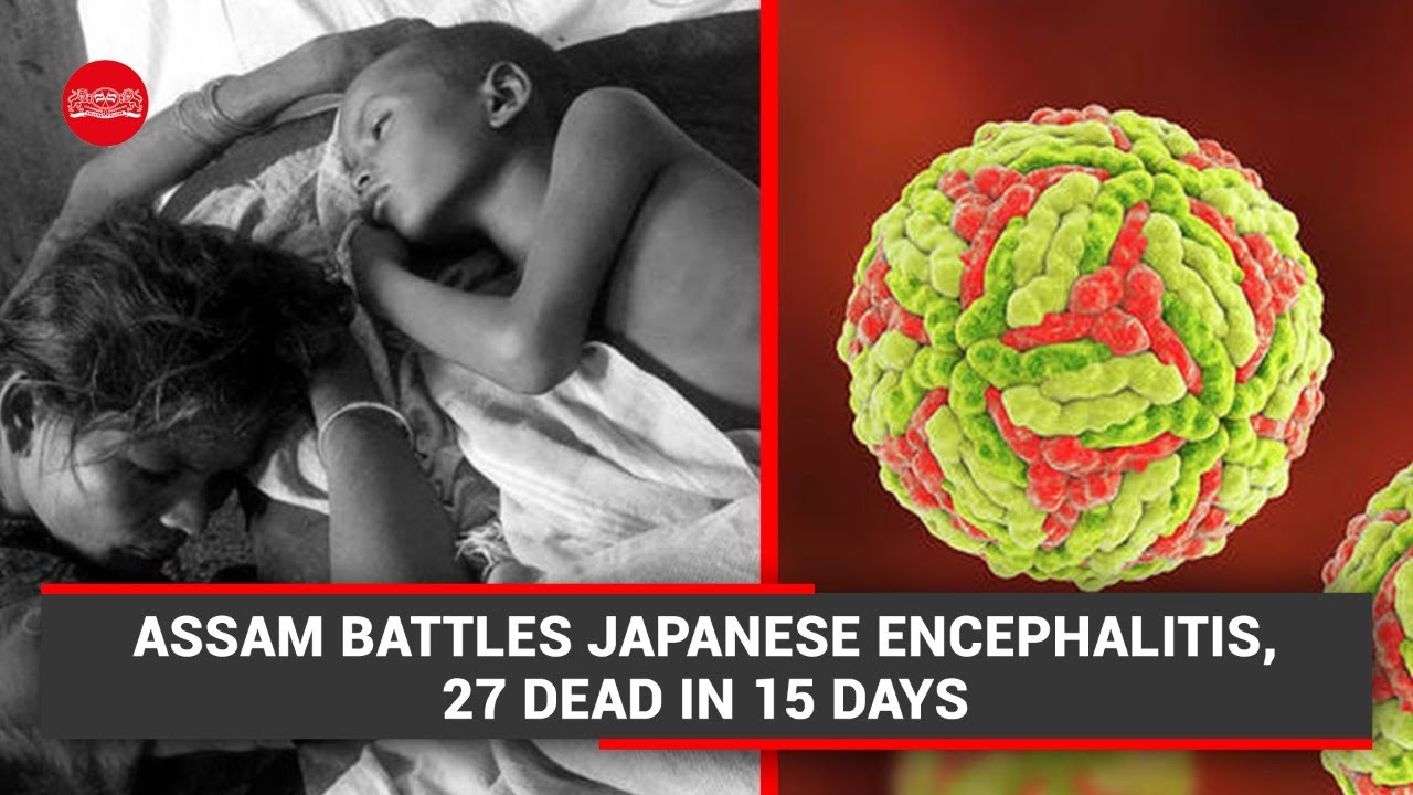 Assam battles Japanese Encephalitis: All you need to know