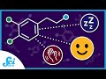 Understanding Dopamine and Its Effects