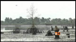 Africa 54