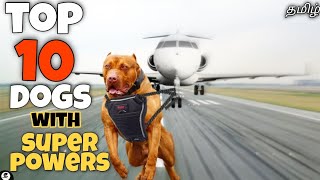 Top 10 dogs with super powers | Abilities | strength | funny