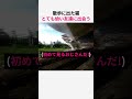散歩に出た猫 とても幼い友達に出会うw