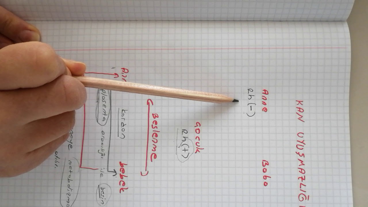 4 Dakikada kan uyuşmazlığı anlamayan kalmıycak