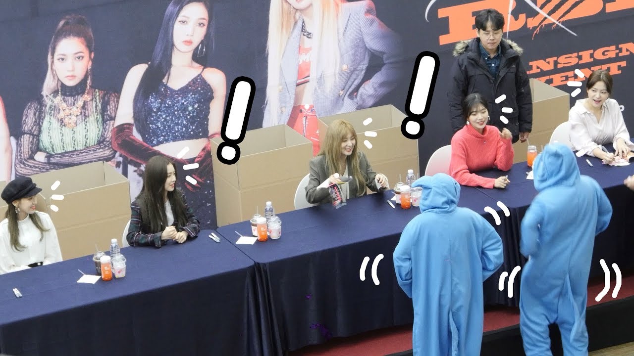 181203 레드벨벳 앞에서 춤추는 귀여운 상어팬 Red Velvet reaction, fan dance : Edited Fancam : 팬사인회 fansign : 코엑스