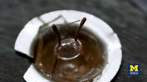 6C20.75 - Helical Diffraction