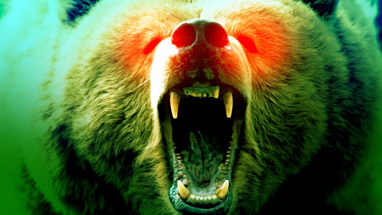 WHEN BEARS ATTACK! - Outbreak: Pandemic Evolution w/ Zaltoman & ToastedShoes