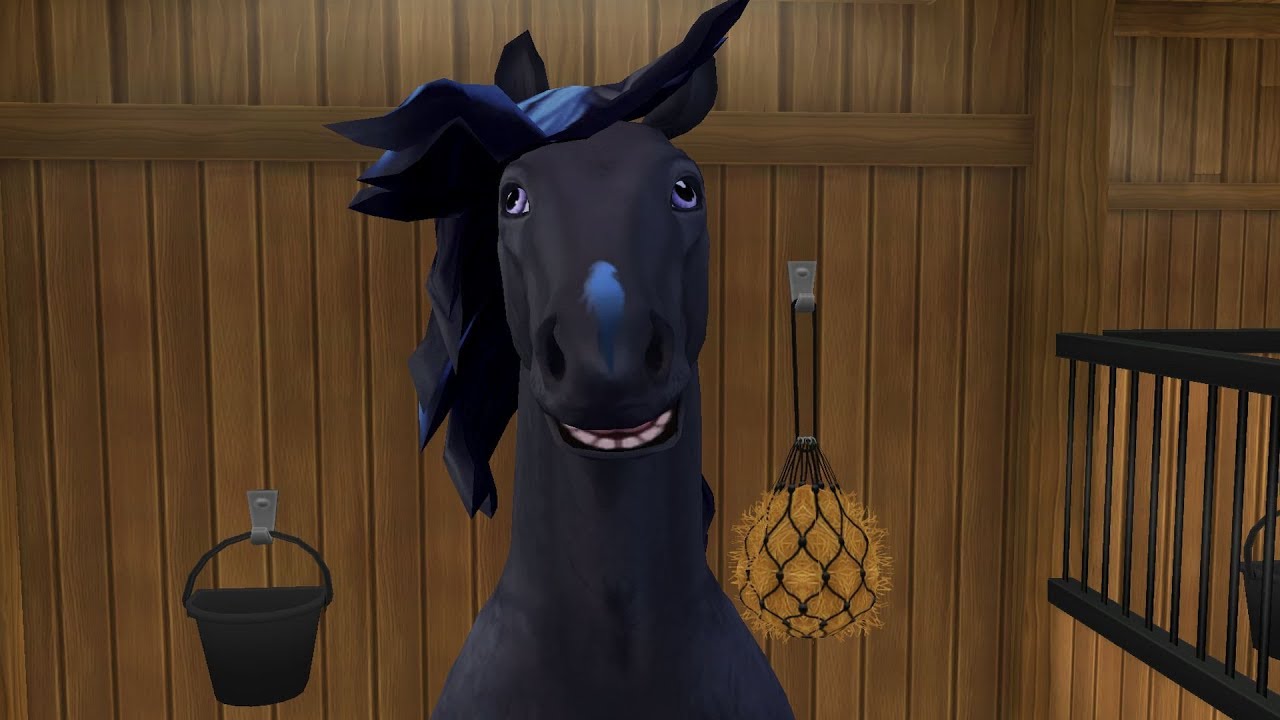 Star stable online - Star stable horses app Texas bluebell North swedish horse
