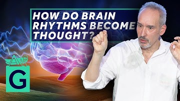 The Turbulent Brain: Rhythms and Waves  - Alain Goriely