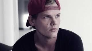 Avicii - Lonely Together 1 Hour