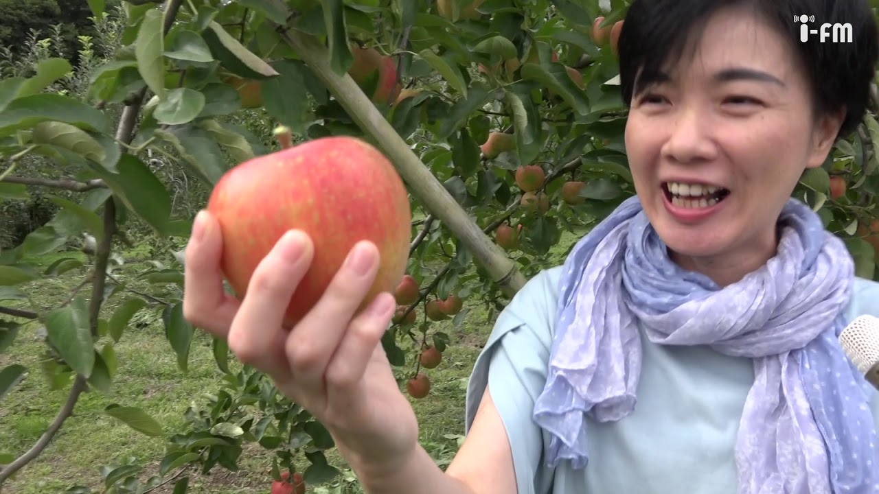 いばたべGO!「りんご」#31