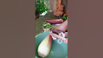 😍😍🍽️🤤🤤 Gỏi Ốc Đắng Bắp Chuối/Vietnamese Salad Recipes #salad #oc #miềntây #shorts