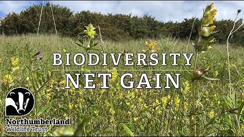 Biodiversity Net Gain Consultation