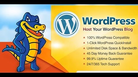 HostGator Review for WordPress Hosting