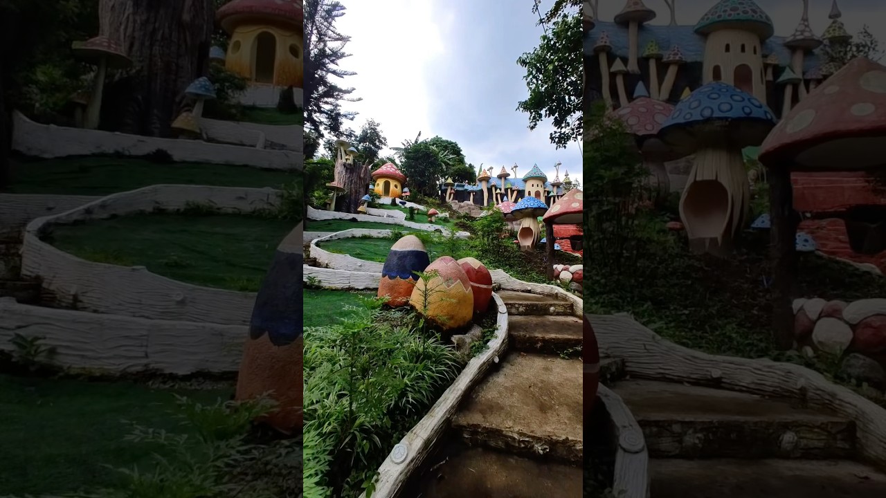 Reptiland Adventure, Alfonso Cavite