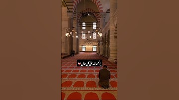 #تلاوة_خاشعة #تلاوة_هادئة #إسلام_صبحي #اسلام_صبحي #خواتيم_سورة_المؤمنون #سورة_المؤمنون ##اكسبلور