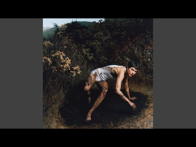 Light Through the Linen