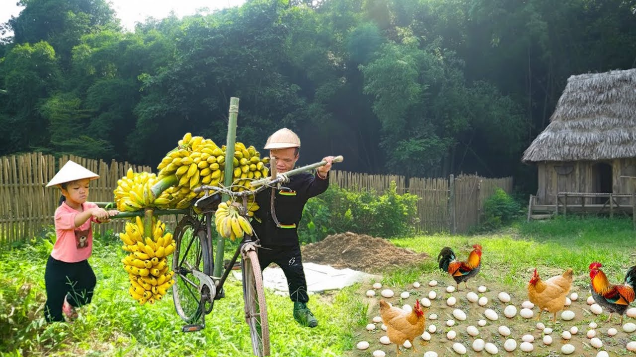 Primitive Survival Journey: Dwarf Family Harvests Bananas and Fresh Chicken Eggs