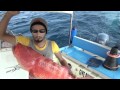 صيد سمك جدة عم عبدو 15