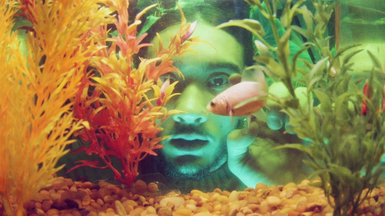 seiji oda ~ take my time (Music Video) Dir. by Karl Perkins