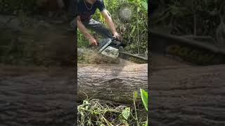 Chainsaw Ogawa Pro Woods