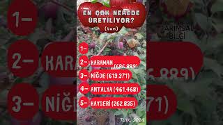 En Çok Elma Üreten Şehirlerimiz! 🍏🚜 (Zirvede Açık Ara Fark Var)