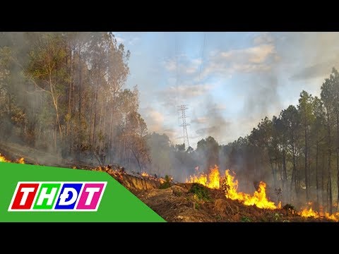 Video Thừa Thiên - Huế: Rừng thông cháy lớn, nghi do đốt... - youtube