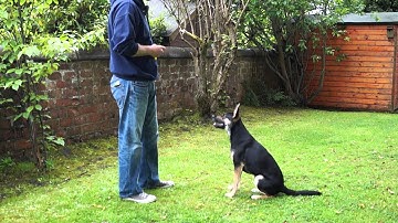 Watson stimulus control 26 June 2015