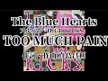 TOO MUCH PAIN 歌詞付き The Blue Hearts【HIGH KICKS】