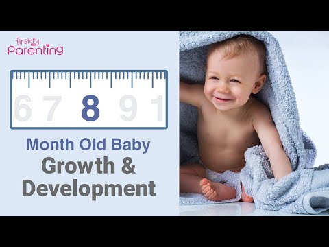 8 Months Old
