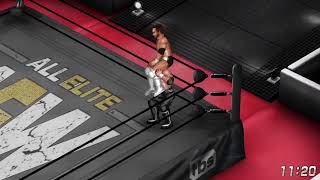 FPWW WORLD Title matches