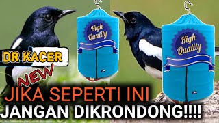 KESALAHAN PENGERONDONGAN AKIBATNYA RASAKAN SENDIRI !!! CARA MERAWAT BURUNG KACER