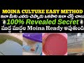 Moina culturehow to culture moina very easy methodhow to develop moina 100 secret revealedtelugu