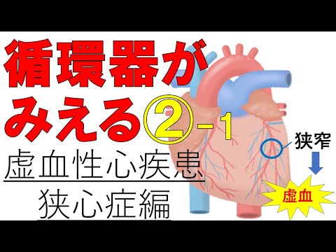 【狭心症】虚血性心疾患①　狭心症の種類と治療薬　医療系学生必見！