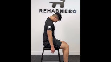 Segmental Thoracic Flexion - upper back mobility and motor control exercise