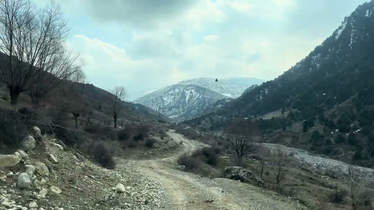 Тоого жонодук#ЖарКоргон#Ноокат