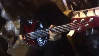 SID/シド - 紫陽花（Ajisai）BASS COVER ベースカバー by Mizuki