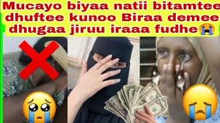 Mucayo 😭😢qarshi ko iraa fudhee vidoo ishee warabee aka natii bitamtee dubatee kunoo vidoo ishee raga