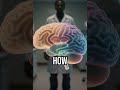 Dreams aren’t private #neuroscience #AIresearch #fMRI