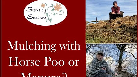 Clearing and Mulching in the Cut Flower Patch (Hor...