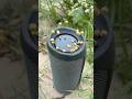 Jbl speaker golden ball bass jump test 