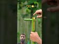 DIY Bamboo Slingshot with craft idea #bamboo1 #bamboo #bushcraft #diy #experiment #bambooshoots