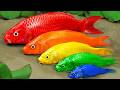 Best Of Small Fish Recipe | MINIATURE Fish Cooking Made EASY with Simple Recipe