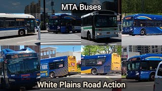 MTA Buses: White Plains Road Action