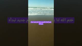 بسم الله  نبدأ عاما جديدا نحسبه عند الله للخير وبالخير لجميع الارواح الطيبة