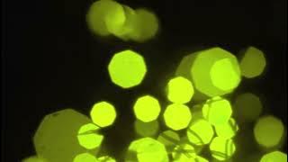 4K Yellow Green Bokeh Stock Footage Free Download -lights background #stockfootage   #stockvideofree