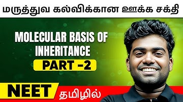 Molecular Basis of Inheritance Part 2 | BOTANY in Tamil | Class12/ NEET