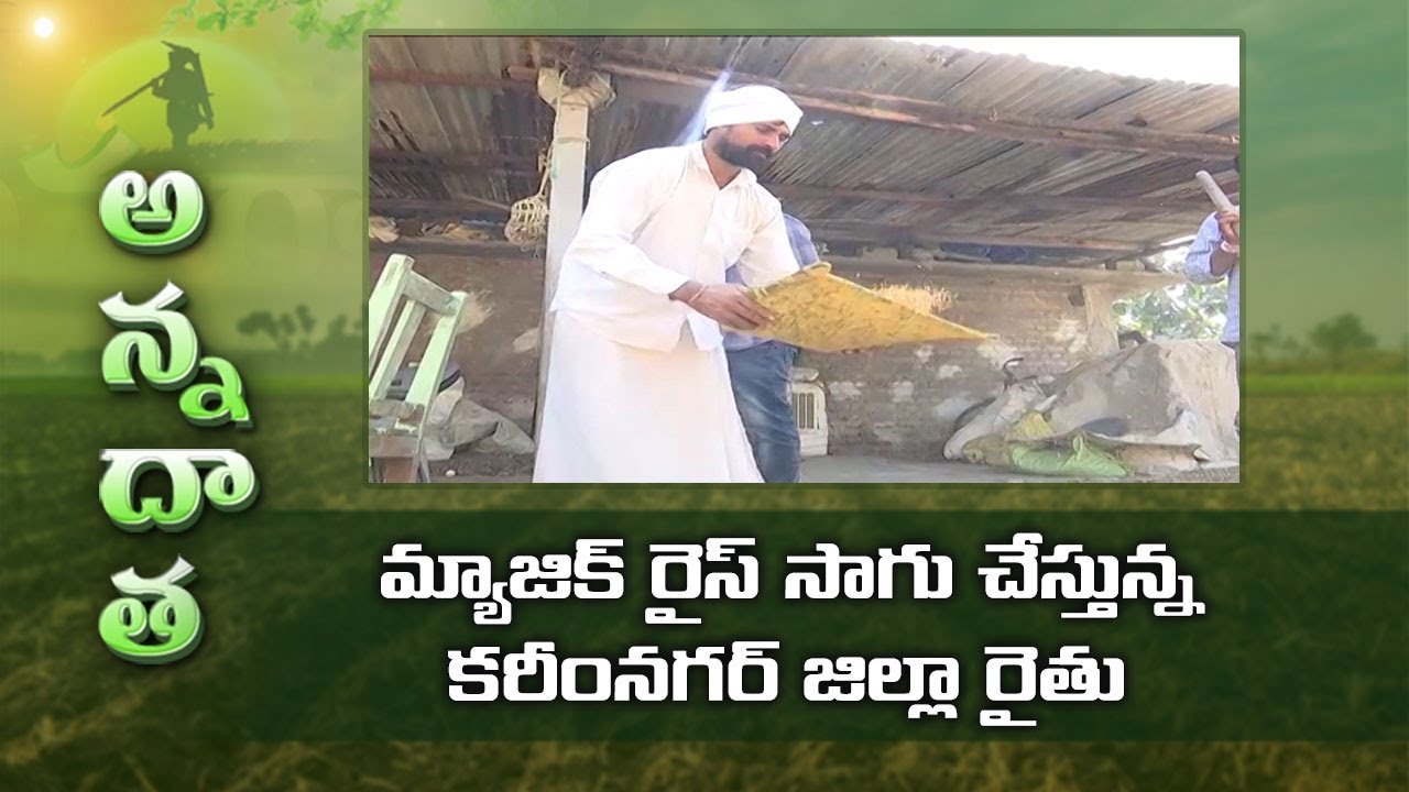 Magic Rice Cultivation by Karimnagar Farmer