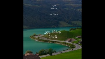 #قران_كريم #ماتيسر من سورة الاحزاب #صلاح_بوخاطر