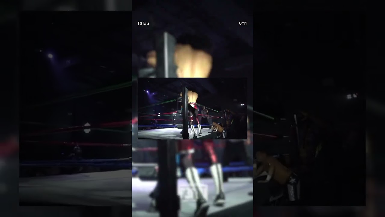 Gino ToldyouSo - WD 2025