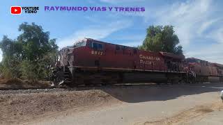 CON 2 LOCOMOTORAS CANADIAN PACIFIC  Y UNA KCS TREN XICOTENCALT EN AGUATEPEC.MEXICO #cpkc #trenes #v