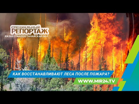НОВЫЙ СПОСОБ СВЯЗИ С ИНОПЛАНЕТЯНАМИ / ПЛЯЖИ НА МАРСЕ И ОКЕАН НА СПУТНИКЕ ЮПИТЕРА. Владимир Сурдин